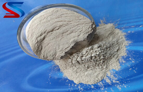 ���X�\������|���X���ۏS�҈D