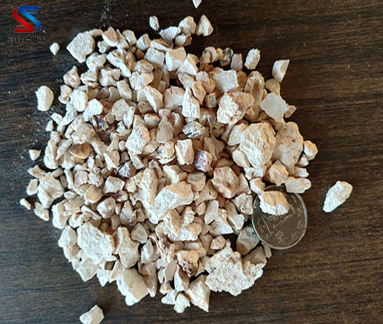 �X���V�r���ИI(y��)�l(f��)չ