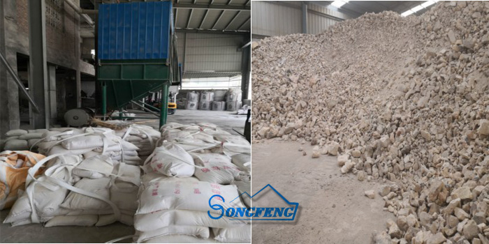 ���X����/�X�\���S�҈D