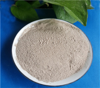 �X�\������/�X�\���D