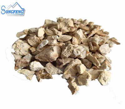 �X�\��|���X����|���ϏS�҈D